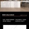 New Cala Gold Sintered Stone Matt 15mm Slab